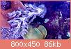         

:  FullSizeRender (1).jpg
:  549
:  85,8 KB