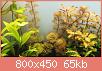         

:  plants.jpg
:  1194
:  64,8 KB