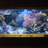 Name:  phoca_thumb_m_cover 1 002.jpg
Views: 1618
Size:  3,9 KB