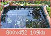         

:  pond.jpg
:  568
:  109,0 KB