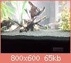         

:  24131234_1705864469475558_6338783970536525366_n.jpg
:  441
:  64,5 KB