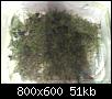         

:  DSC00088.JPG
:  297
:  50,8 KB