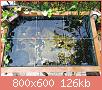         

:  pond 1.jpg
:  588
:  126,1 KB
