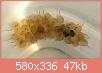         

:  S71228-01082195.jpg
:  449
:  46,8 KB