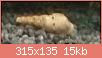         

:  S71229-22050887.jpg
:  258
:  14,6 KB