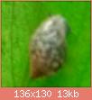         

:  S71229-22053176(1).jpg
:  248
:  12,8 KB