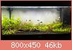         

:  1.jpg
:  589
:  46,1 KB