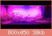         

:  2.jpg
:  554
:  38,2 KB