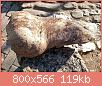         

:  S80106-14402651.jpg
:  423
:  118,6 KB