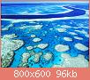         

:  coral 2.jpg
:  604
:  95,5 KB