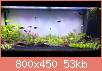         

:  fts.jpg
:  521
:  52,7 KB