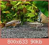         

:  S80121-12122426.jpg
:  301
:  90,2 KB