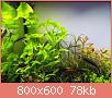         

:  IMG_20180120_224353.jpg
:  961
:  77,6 KB