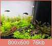         

:  IMG_20180120_224530.jpg
:  998
:  76,4 KB