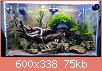         

:  P_20180224_151023.jpg
:  303
:  74,8 KB