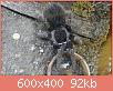         

:  tar1.jpg
:  501
:  92,1 KB