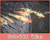         

:  27951407_1162002707263358_390039985_o.thumb.jpg.ebf00d5f49e2919b5b9482a038c06f58.jpg
:  503
:  53,1 KB