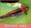         

:  29993648_981179318724100_379485655_o.jpg
:  352
:  43,5 KB
