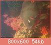         

:  631810A9-FA20-4846-BE2B-4F0B59A6E3D4.jpg
:  206
:  54,1 KB