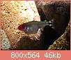         

:  P80506-195315(1)(1).jpg
:  291
:  46,0 KB