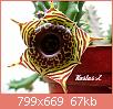         

:  DSC08011.jpg
:  869
:  67,5 KB