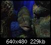         

:  Crete_Aquarium001.jpg
:  324
:  228,9 KB