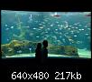         

:  Crete_Aquarium008.jpg
:  353
:  217,1 KB