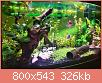         

:  20180707_170026_800x543.jpg
:  565
:  326,0 KB