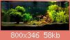        

:  42432884_568621003577207_1375900912236625920_n.jpg
:  325
:  57,5 KB