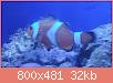         

:  IMG_20181031_213436.jpg
:  479
:  31,6 KB