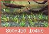         

:  WP_20181103_12_13_37_Pro.jpg
:  308
:  104,3 KB