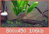         

:  WP_20181103_12_14_38_Pro.jpg
:  273
:  106,5 KB