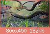         

:  WP_20181103_12_16_00_Pro.jpg
:  309
:  182,4 KB