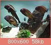         

:  IMG_20181110_180433.jpg
:  476
:  58,0 KB