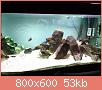         

:  IMG_20181110_180428.jpg
:  514
:  53,0 KB