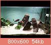         

:  IMG_20181110_180249.jpg
:  465
:  53,8 KB