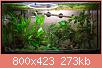         

:  IMG_7334.jpg
:  346
:  273,5 KB