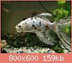         

:  IMG_20210207_190236_copy_800x600.jpg
:  269
:  158,8 KB