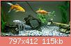         

:  IMG_20210207_193237_copy_797x412.jpg
:  251
:  114,6 KB