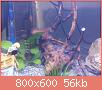         

:  20210219_195524.jpg
:  225
:  56,5 KB