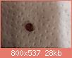         

:  salig1.jpg
:  225
:  27,9 KB