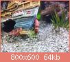         

:  salig2.jpg
:  229
:  64,0 KB