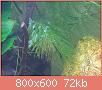         

:  LEUKA1.jpg
:  220
:  72,2 KB