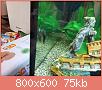         

:  EN5.jpg
:  237
:  75,4 KB