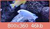         

:  Screenshot_2021-05-20-17-01-04-246_com.miui.videoplayer.jpg
:  186
:  46,4 KB