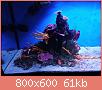         

:  IMG20211025180300.jpg
:  598
:  61,5 KB