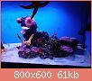         

:  IMG20211025180250.jpg
:  556
:  60,8 KB