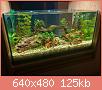         

:  IMG_4594.jpg
:  465
:  124,6 KB