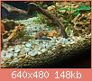        

:  IMG_4597.jpg
:  453
:  148,1 KB