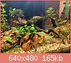         

:  IMG_4614.jpg
:  449
:  164,6 KB